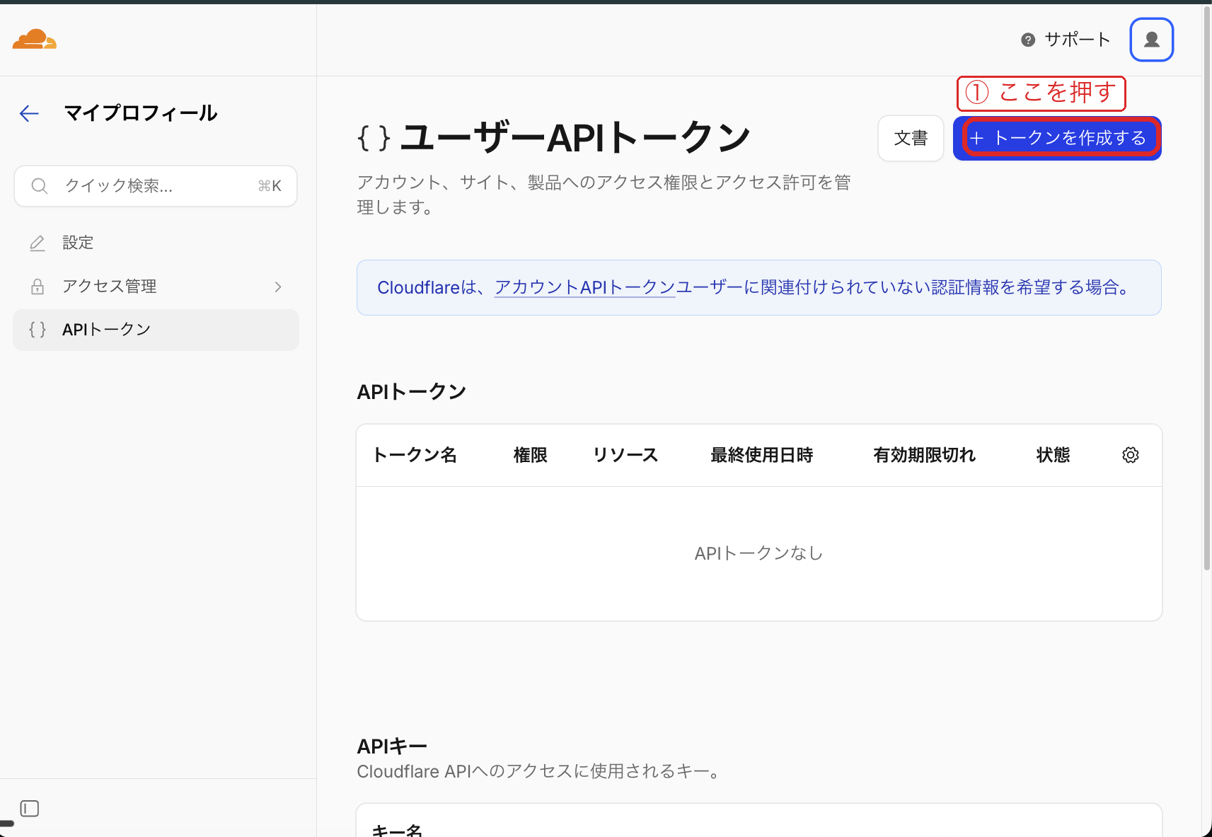 My Profile → API Tokens 画面